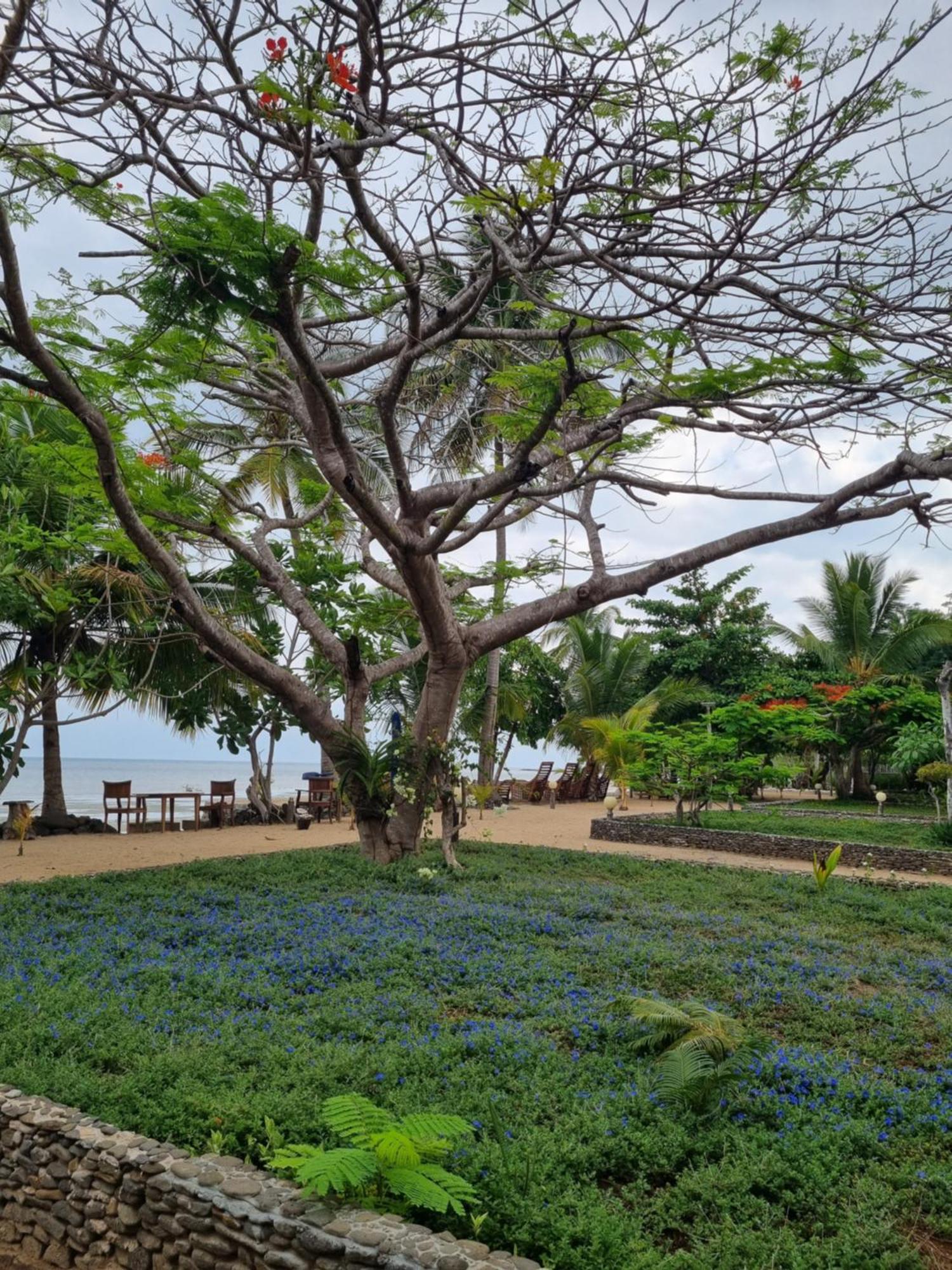 Sangany Lodge Befotaka Bay Eksteriør bilde